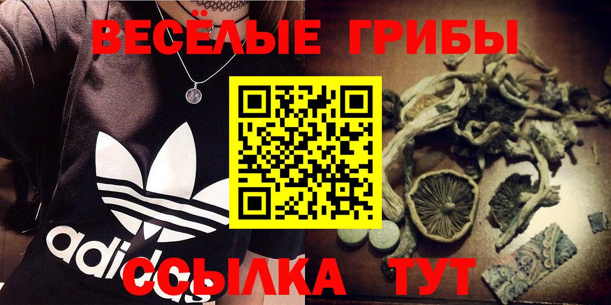 Псилоцибиновые грибы ЛСД  магазин продажи наркотиков  Ишим  Вход с VPN 